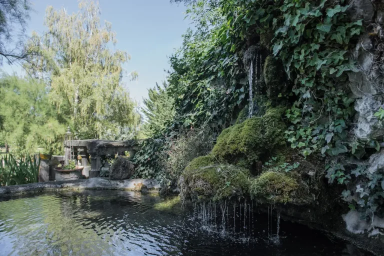 Domaine de Chalaniat Cascade Eau 768x512