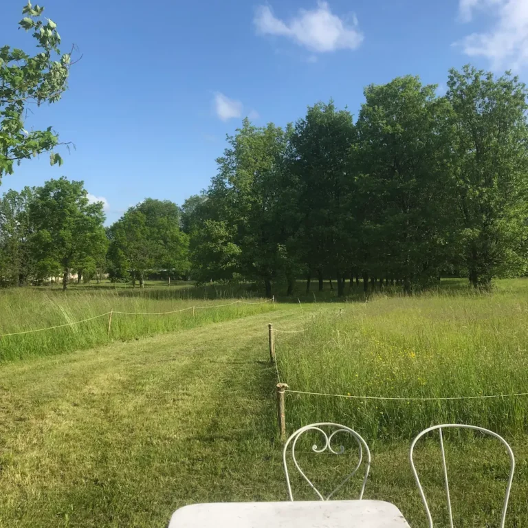 Domaine de Chalaniat Champs Terrasse 768x768