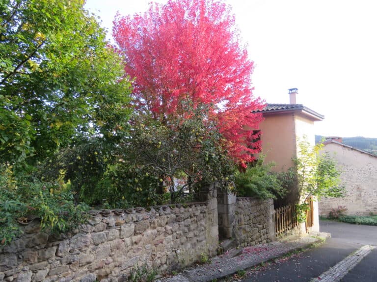 gite chastel forez rue