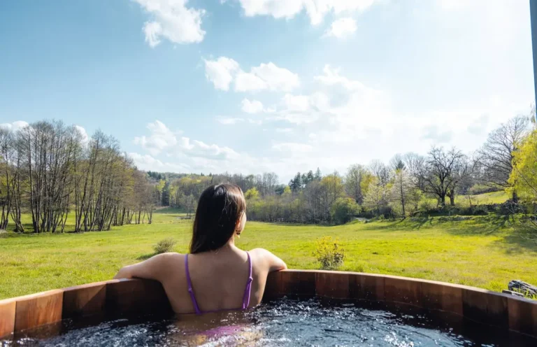 lodge spa auvergne 1 768x496