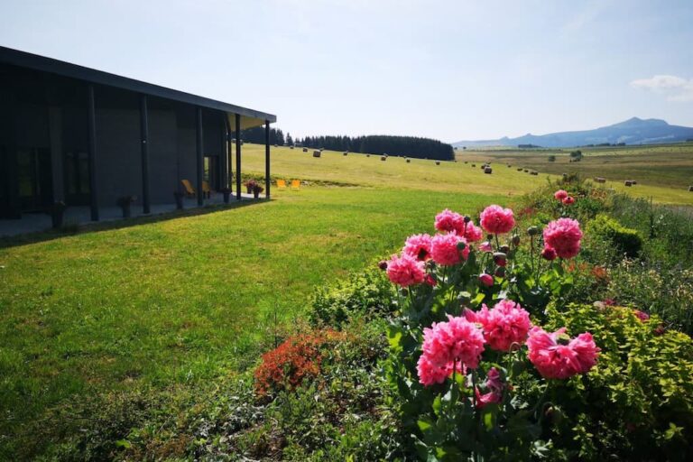 mandra exterieur paysage fleurs 768x512