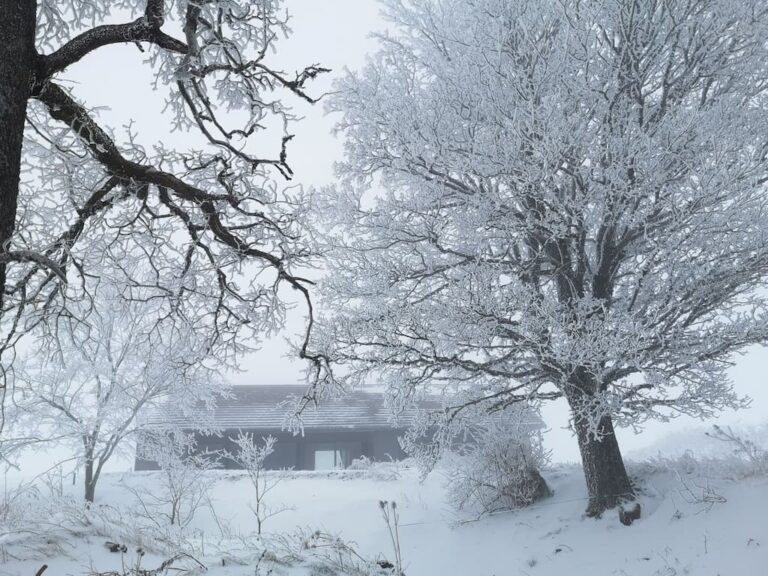 mandra hiver 768x576