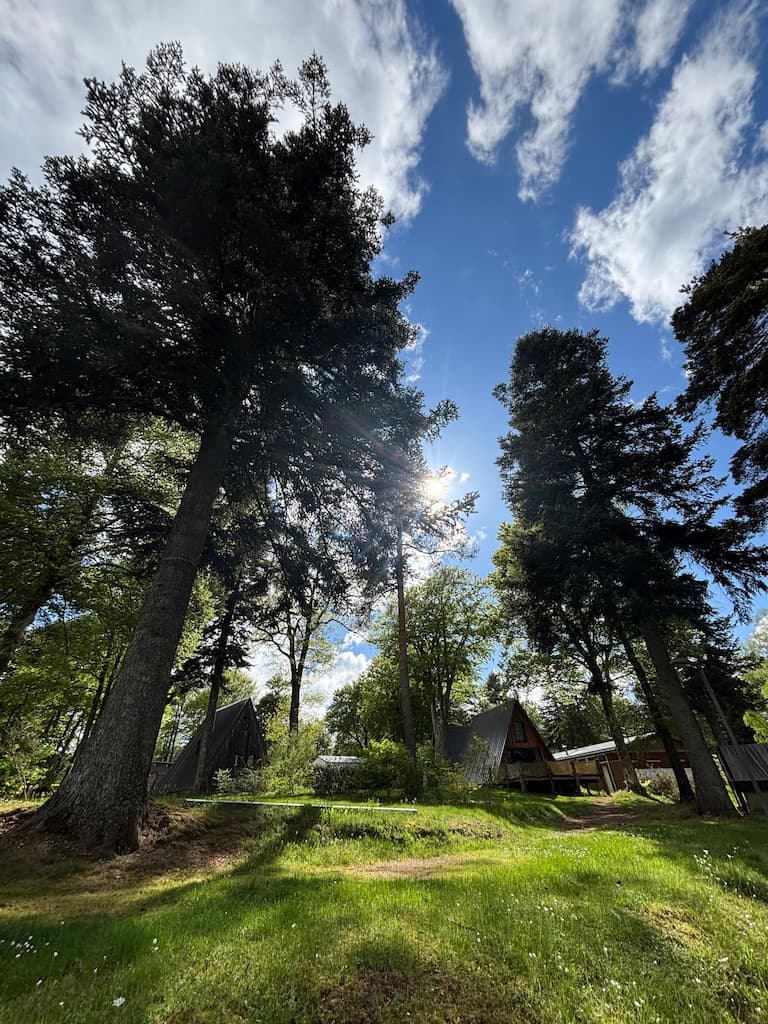 murmures lignon chalets arbres